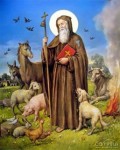 Sant Antoni Abad