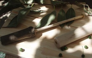 Petador amb lledons
