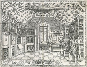 Gabinet de curiositats S XVI