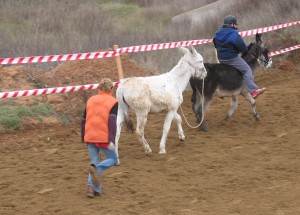 Cursa de rucs